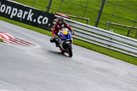 PJ-Motorsport-2019;anglesey;brands-hatch;cadwell-park;croft;donington-park;enduro-digital-images;event-digital-images;eventdigitalimages;mallory;no-limits;oulton-park;peter-wileman-photography;racing-digital-images;silverstone;snetterton;trackday-digital-images;trackday-photos;vmcc-banbury-run;welsh-2-day-enduro